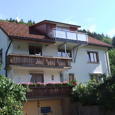 Haus Michler Apartment Todtnau Luaran gambar