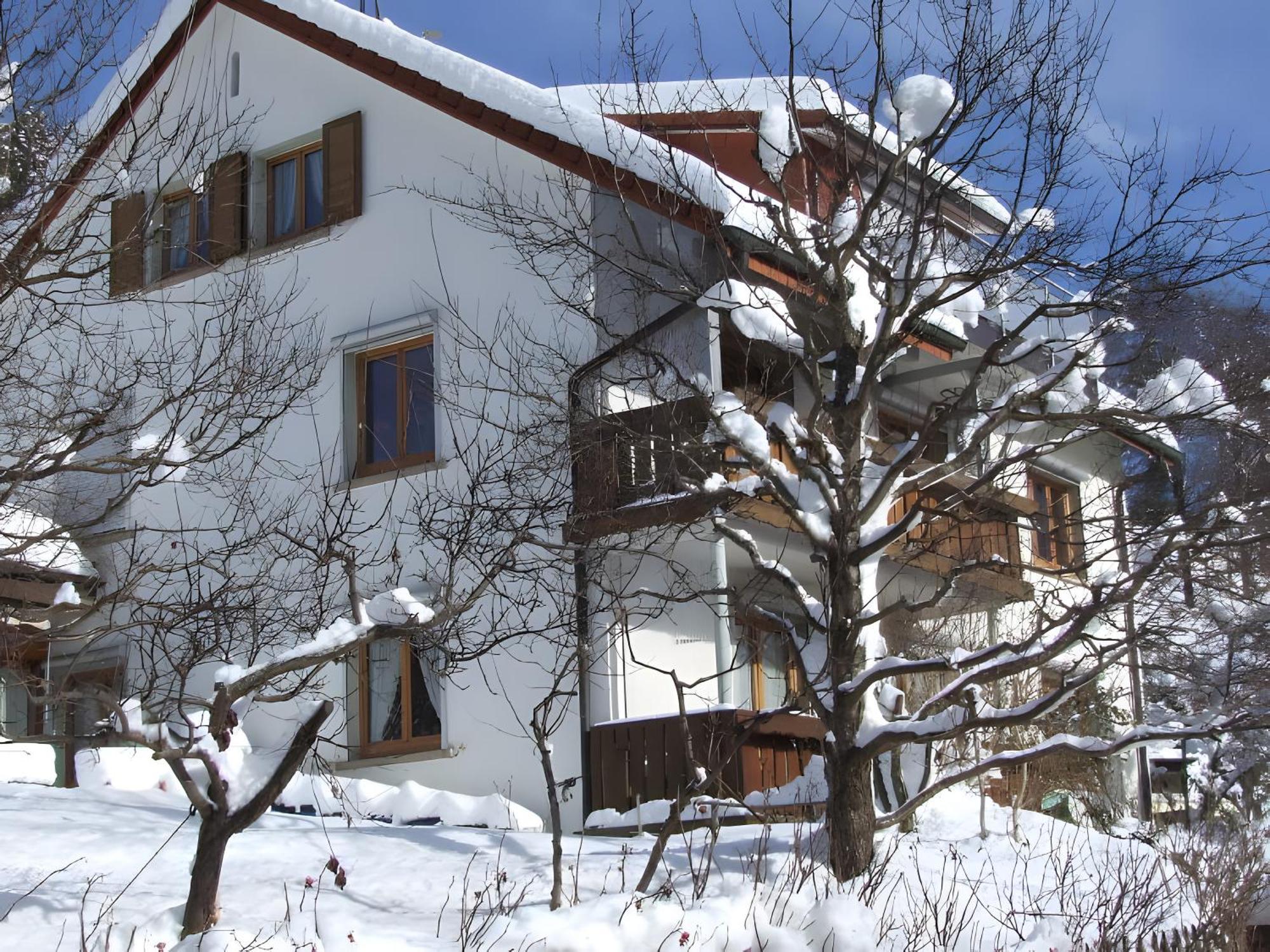 Haus Michler Apartment Todtnau Luaran gambar